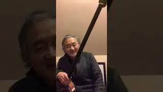 简单学习三弦和阮