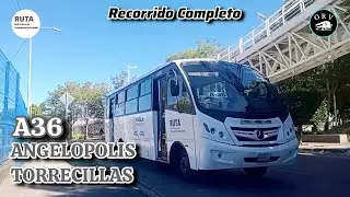Angelopolis - Torrecillas | Alimentadora 36 | RUTA PUEBLA | Recorrido Completo 🚍