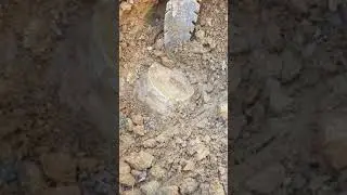 Civil War Period Dyer artillery shell found in Fauquier County, VA I November 2019