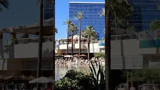 Is this the BEST Beach Club in Las Vegas? 👀🌴