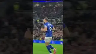 Everton pitch side Newcastle game