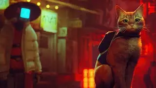 STRAY REVIEW - IS IT GOOD?