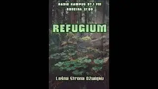 Leśna Strona Dźwięku LSDFM : Refugium - (Green Jesus)