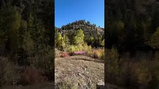 161 acres of prime Colorado mountain land