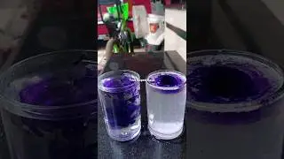 🔥🔥🧪🧫Water + salt + Ujala experiment #shorts #shortvideo #malayalam