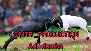 INDO METAL (ADU DOMBA By MTR_PRODUCTION)
