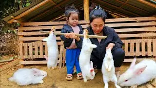 How to Design a Rabbit House Rabbit Shelter | New Farm