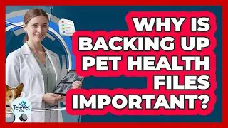 Why is backing up pet health files important?