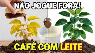O QUE OS ANTIGOS FAZIAM: O Fertilizante Duplo da Cozinha