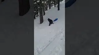 grown man fails sledding