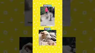 Thinga pelayo onnathukkum laikkilla🤣🤣 #comedy #trending