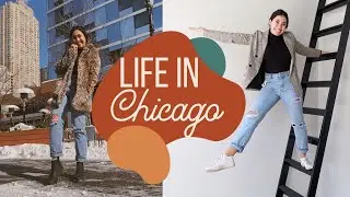 CHICAGO WEEK IN MY LIFE - Apartments, Cleaning and mini Trader Joe's Haul!