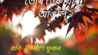 Muthi muthi koi kati tur dhekiar anguli//assamese poem//