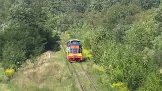 ЧМЭ3-5974 [УЗ-CFM] Single locomotive | Резерв