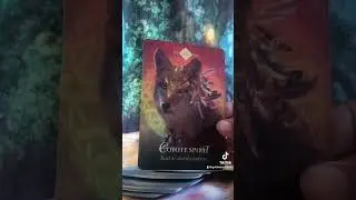 Listen to this message #tarotcardreading #tarot #humananatomy #oraclereadings #meditation