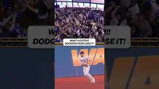 Dodgers fans LOSING their minds after this catch! #mlb #baseball #worldseries #Dodgers