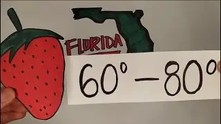 Weather Blog: Why Florida's winter is super for strawberries