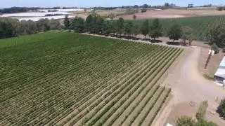 Ross Hill Wines ... A bird's eye-view