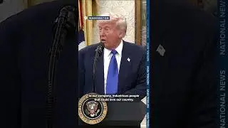 $1k to leave: President Trump offers undocumented migrants money to self deport