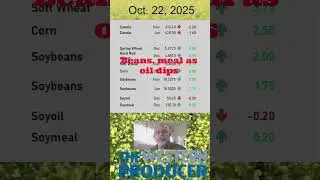 AMMarketUpdateOct22 2025