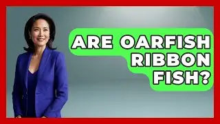 Are Oarfish Ribbon Fish? - The Marine Life Explorer