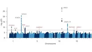GWAS of febrile seizures implicates fever response and neuronal excitability genes