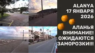 ALANYA ПРЕДУПРЕДИЛИ ПРО ЗАМОРОЗКИ 17 ЯНВАРЯ 2026 АЛАНЬЯ