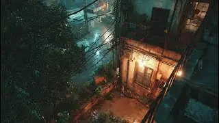 Rain-Kissed Urban Haven 🌲 Peaceful Acoustic Guitar (1 Hour)