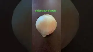 Onions have layers #onions #shorts ￼