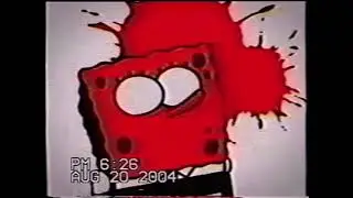 August 20,2004