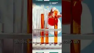 Bioeconom&iacute;a Circular Chile&ndash;Europa