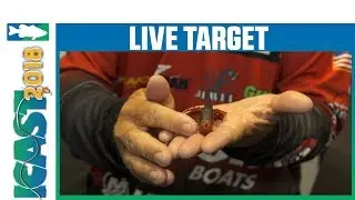 Best of Show ICAST 2018 Freshwater Soft Lure - LiveTarget Hollow Body Crawfish Jig | iCast 2018
