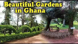Ghana Beautiful Garden / Aburi Botanical Gardens Tour / Vlog 2022 / Omama Page