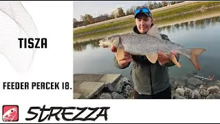 Tiszai Feeder percek 18. rész - Az Őszi tiszai szezon befejezése - RiverFeeder | Strezza Fishing