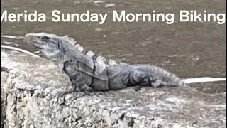 Merida Mexico Sunday Morning 2021