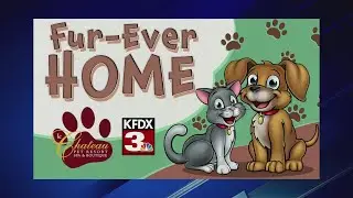Meet Mary-Kate from the Wilbarger Humane Society!
