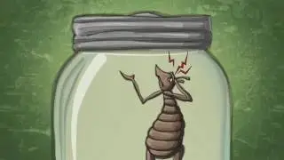 Open Jar Thinking