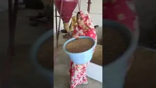 Dhaniya Processing | Nirmal's Spices Timarni | Masala Factory | Pure Spices of India |