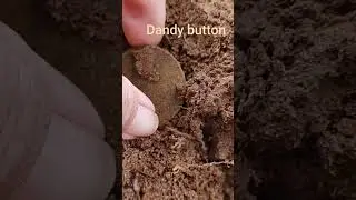 Dandy Button #shorts  #adventure #metaldetecting #history #newjersey #outdoors #jersey #TEAMPG54LIFE