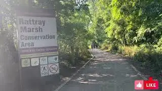 Jack Darling Memorial Park & Rattray Marsh Conservation Area 2022