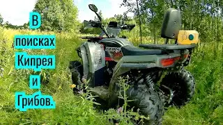 Поездка по бездорожью и полям на квадроцикле White Siberia Bars 200 Pro. 