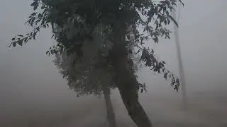 My first morning walk 🚶&zwj;♀️ in pakistan 🇵🇰 😍 