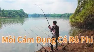 Fishing on the Dong Nai River, a beautiful, wide bay suitable for camping/#116/Hoa Vlog 934.