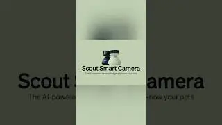 Smart Pet Cam 🐾 | 360&deg; View 👀 | HD Night Vision 🌙 | Talk to Your Pets Anytime 🎤 #petlovers #petcam