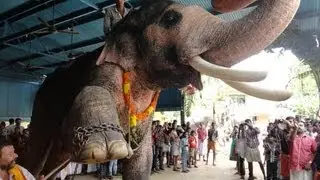GAJAPOOJA