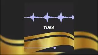 FREE SAMPLE PACKS | Jazz Horns and Jazz Trumpet Samples for Music Production