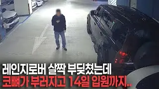 26424회. 이게 코뼈가 부러지고 14일 입원할 일인가요? 경찰도 황당해 했습니다.