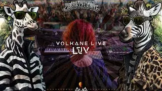 LŪV ~ Zouav'fest #4