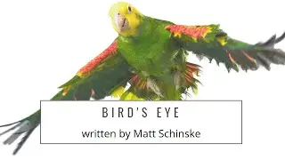 Birds Eye by Matt Schinske - more Intermediate Piano Pieces