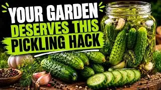 The easiest way to pickle - Dre's way!